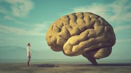 The Mind Is a Beautiful, Limitless Blessing: Tips to Expand and Grow Your Mind